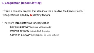 3. Coagulation (Blood Clotting)
• This is a complex process that also involves a positive feed back system.
• Coagulation is aided by 12 clotting factors.
• There are three pathways for coagulation
- Extrinsic pathway (activated within seconds)
- Intrinsic pathway (activated in 3 -6minutes)
- Common pathway (activated after Ext an Int pathway)
 