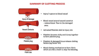 SUMMARY OF CLOTTING PROCESS
 
