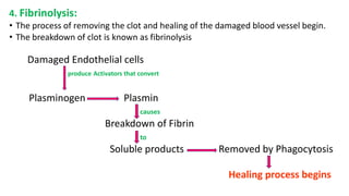 4. Fibrinolysis:
• The process of removing the clot and healing of the damaged blood vessel begin.
• The breakdown of clot is known as fibrinolysis
Damaged Endothelial cells
produce Activators that convert
Plasminogen Plasmin
causes
Breakdown of Fibrin
to
Soluble products Removed by Phagocytosis
Healing process begins
 