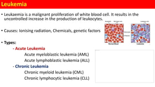 Leukemia
• Leukaemia is a malignant proliferation of white blood cell. It results in the
uncontrolled increase in the production of leukocytes.
• Causes: Ionising radiation, Chemicals, genetic factors
• Types:
- Acute Leukemia
Acute myeloblastic leukemia (AML)
Acute lymphoblastic leukemia (ALL)
- Chronic Leukemia
Chronic myeloid leukemia (CML)
Chronic lymphocytic leukemia (CLL)
 