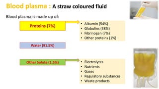 Blood plasma : A straw coloured fluid
Blood plasma is made up of:
Proteins (7%)
• Albumin (54%)
• Globulins (38%)
• Fibrinogen (7%)
• Other proteins (1%)
Water (91.5%)
Other Solute (1.5%) • Electrolytes
• Nutrients
• Gases
• Regulatory substances
• Waste products
 