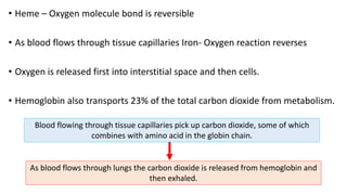 • Heme – Oxygen molecule bond is reversible
• As blood flows through tissue capillaries Iron- Oxygen reaction reverses
• Oxygen is released first into interstitial space and then cells.
• Hemoglobin also transports 23% of the total carbon dioxide from metabolism.
Blood flowing through tissue capillaries pick up carbon dioxide, some of which
combines with amino acid in the globin chain.
As blood flows through lungs the carbon dioxide is released from hemoglobin and
then exhaled.
 