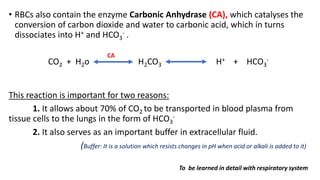 • RBCs also contain the enzyme Carbonic Anhydrase (CA), which catalyses the
conversion of carbon dioxide and water to carbonic acid, which in turns
dissociates into H+ and HCO3
- .
CO2 + H2o H2CO3 H+ + HCO3
-
This reaction is important for two reasons:
1. It allows about 70% of CO2 to be transported in blood plasma from
tissue cells to the lungs in the form of HCO3
-
2. It also serves as an important buffer in extracellular fluid.
(Buffer: It is a solution which resists changes in pH when acid or alkali is added to it)
To be learned in detail with respiratory system
CA
 
