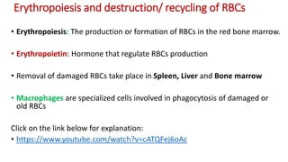 Erythropoiesis and destruction/ recycling of RBCs
• Erythropoiesis: The production or formation of RBCs in the red bone marrow.
• Erythropoietin: Hormone that regulate RBCs production
• Removal of damaged RBCs take place in Spleen, Liver and Bone marrow
• Macrophages are specialized cells involved in phagocytosis of damaged or
old RBCs
Click on the link below for explanation:
• https://www.youtube.com/watch?v=cATQFej6oAc
 