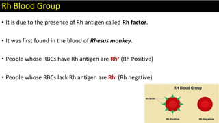 Rh Blood Group
• It is due to the presence of Rh antigen called Rh factor.
• It was first found in the blood of Rhesus monkey.
• People whose RBCs have Rh antigen are Rh+ (Rh Positive)
• People whose RBCs lack Rh antigen are Rh- (Rh negative)
 