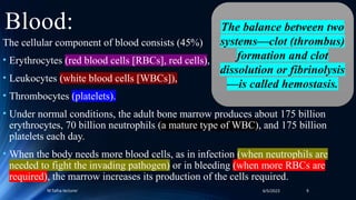 Comprehensive Overview of Blood: Composition, Functions, and ...