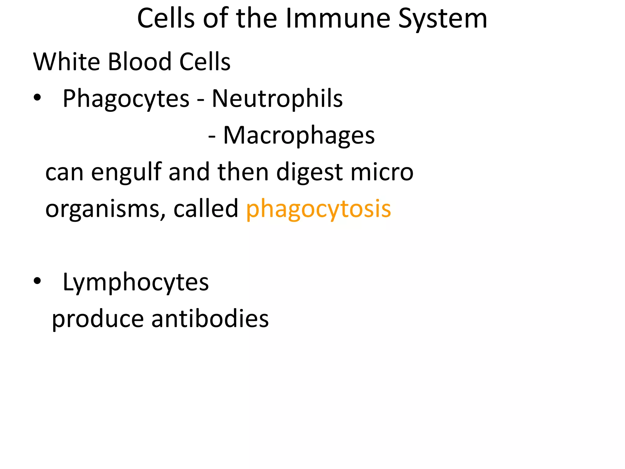 The blood circulatory system IGCSE | PPTX