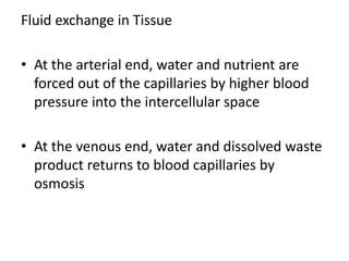Fluid exchange in Tissue 
• At the arterial end, water and nutrient are 
forced out of the capillaries by higher blood 
pressure into the intercellular space 
• At the venous end, water and dissolved waste 
product returns to blood capillaries by 
osmosis 
 