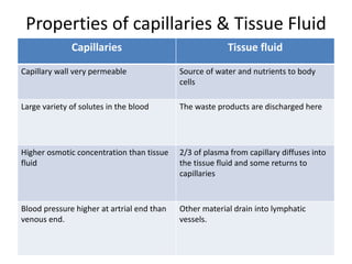 Properties of capillaries & Tissue Fluid 
Capillaries Tissue fluid 
Capillary wall very permeable Source of water and nutrients to body 
cells 
Large variety of solutes in the blood The waste products are discharged here 
Higher osmotic concentration than tissue 
fluid 
2/3 of plasma from capillary diffuses into 
the tissue fluid and some returns to 
capillaries 
Blood pressure higher at artrial end than 
venous end. 
Other material drain into lymphatic 
vessels. 
 
