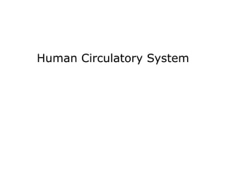 Human Circulatory System 
 