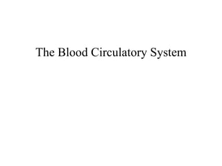 The Blood Circulatory System 
 