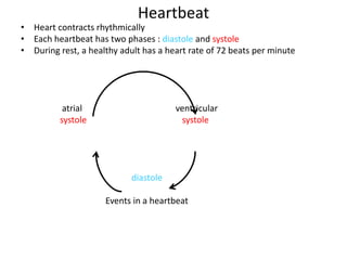 Heartbeat 
• Heart contracts rhythmically 
• Each heartbeat has two phases : diastole and systole 
• During rest, a healthy adult has a heart rate of 72 beats per minute 
atrial ventricular 
systole systole 
diastole 
Events in a heartbeat 
 