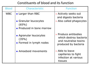 Constituents of blood and its function 
Blood Characteristic Function 
WBC  Larger than RBC 
 Granular leucocytes 
(65%) 
 Produced in bone marrow 
 Agranular leucocytes 
(35%) 
 Formed in lymph nodes 
 Amoeboid movements 
 Actively seeks out 
and digests bacteria 
 Also called phagocytes 
 Produce antibodies 
which destroy bacteria 
and neutralise toxins 
produced by bacteria 
 Able to leave 
capillaries to fight 
infection at various 
tissues 
 