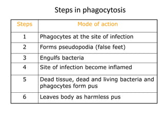 Steps in phagocytosis 
Steps Mode of action 
1 Phagocytes at the site of infection 
2 Forms pseudopodia (false feet) 
3 Engulfs bacteria 
4 Site of infection become inflamed 
5 Dead tissue, dead and living bacteria and 
phagocytes form pus 
6 Leaves body as harmless pus 
 