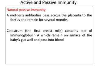 Active and Passive Immunity 
Natural passive immunity 
A mother’s antibodies pass across the placenta to the 
foetus and remain for several months. 
Colostrum (the first breast milk) contains lots of 
Immunoglobulin A which remain on surface of the 
baby’s gut wall and pass into blood 
 