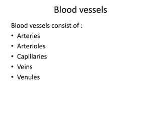 Blood vessels 
Blood vessels consist of : 
• Arteries 
• Arterioles 
• Capillaries 
• Veins 
• Venules 
 