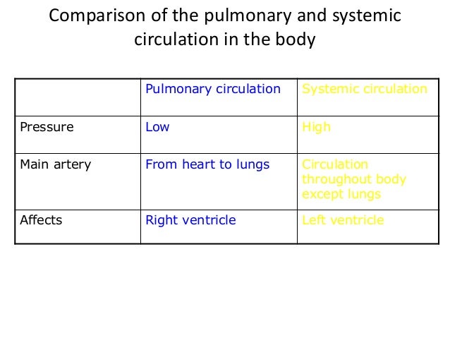 division systems fluid The IGCSE blood circulatory system