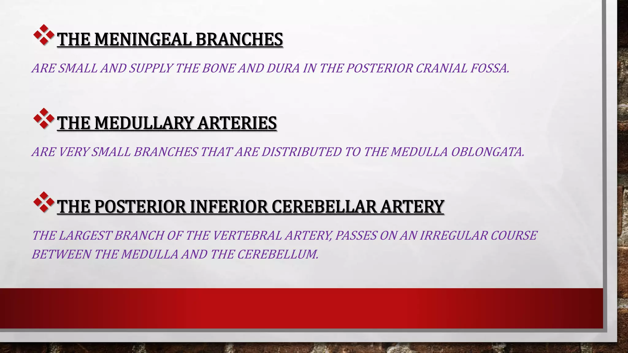 BLOOD SUPPLY OF BRAIN AND SPINAL CORD | PPTX