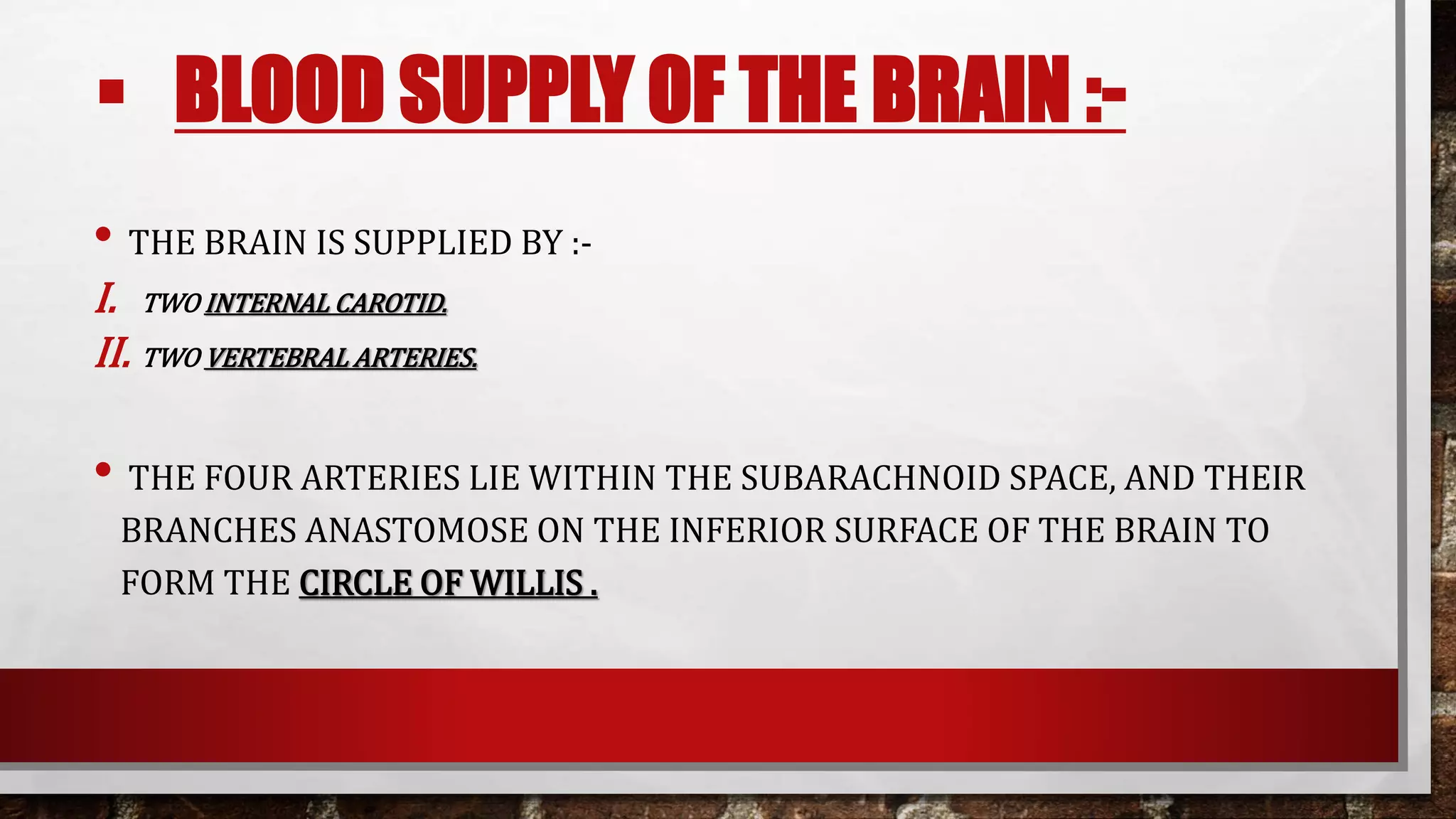 BLOOD SUPPLY OF BRAIN AND SPINAL CORD | PPTX