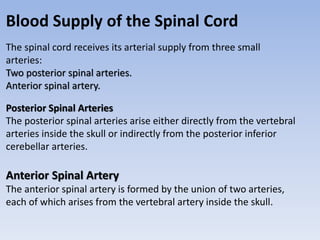 The blood supply of the brain and spinal cord | PPTX