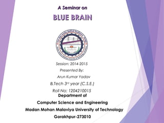 A Seminar onA Seminar on
BLUE BRAINBLUE BRAIN
Session: 2014-2015
Presented By:
Arun Kumar Yadav
B.Tech 3rd
year (C.S.E.)
Roll No: 1204210015
Department of
Computer Science and Engineering
Madan Mohan Malaviya University of Technology
Gorakhpur-273010
 