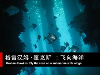 Graham Hawkes: Fly the seas on a submarine with wings   ׺ķ  ˹     