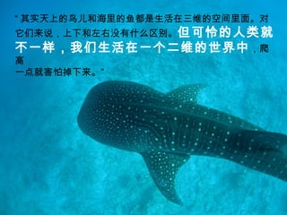  ʵϵͺ㶼άĿռ档 ˵ºûʲô Ͳһһά  һͺµ  