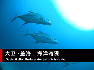 David Gallo: Underwater astonishments   壺   
