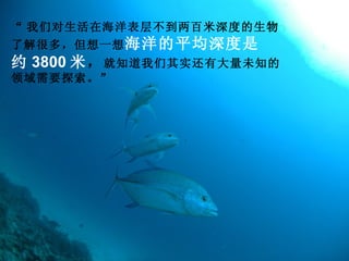  Ƕں㲻ȵ ˽ܶ࣬һ ƽ Լ 3800   ֪ʵдδ֪ Ҫ̽    