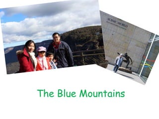 The Blue Mountains
 