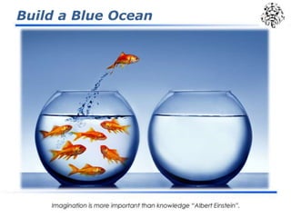 Build a Blue Ocean
 