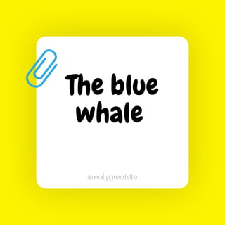 @reallygreatsite
The blue
whale
 