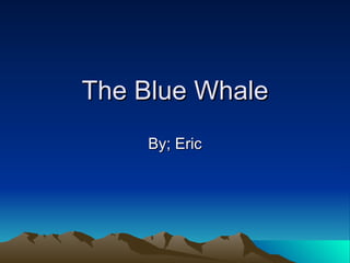 The Blue Whale By; Eric 