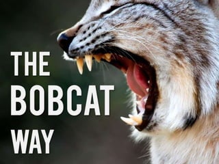 The Bobcat Way (Seneca High School Expectations)