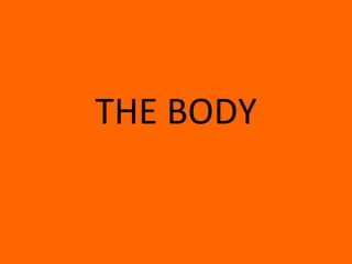 THE BODY 