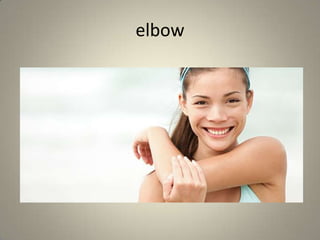 elbow
 