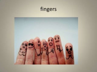 fingers
 