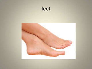feet
 