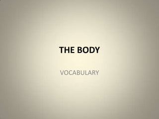 THE BODY
VOCABULARY
 
