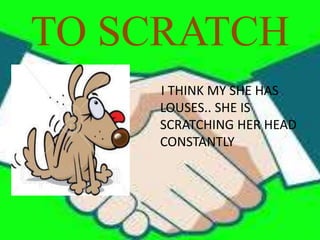 TO SCRATCH
I THINK MY SHE HAS
LOUSES.. SHE IS
SCRATCHING HER HEAD
CONSTANTLY
 