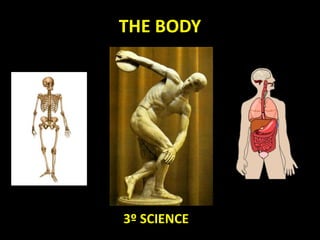 THE BODY
3º SCIENCE
 