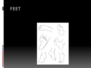 FEET