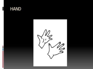 HAND