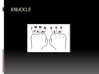 KNUCKLE