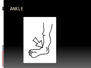 ANKLE
