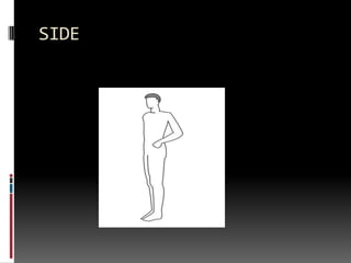 SIDE