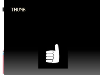 THUMB