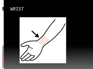 WRIST