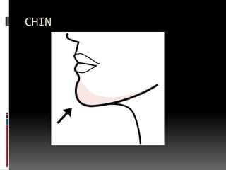 CHIN