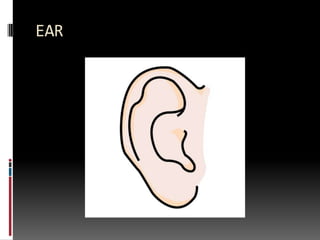 EAR